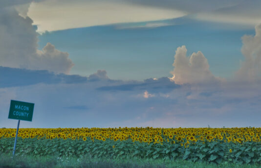 50233894113 259a8ac989 o